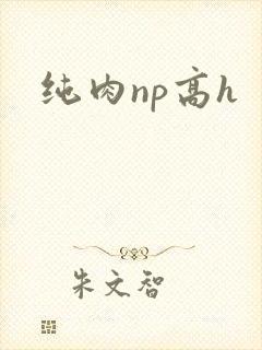 纯肉np高h