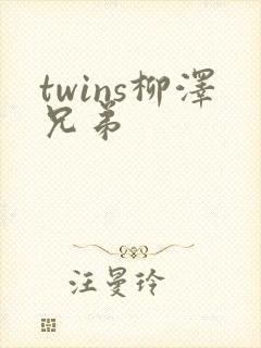 twins柳泽兄弟