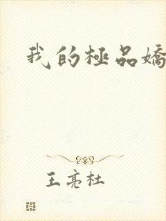 我的极品娇妻