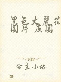 黑色大丽花真实图片 原图