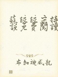 苏皎皎宋持的小说免费阅读