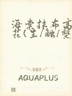 海棠抹布高岭之花(生/触/双)