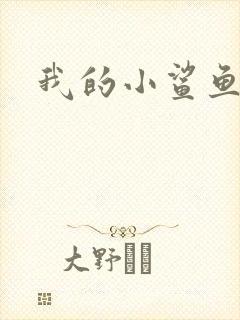 我的小鲨鱼
