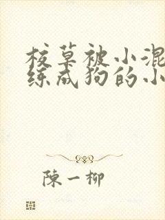 校草被小混混训练成狗的小说