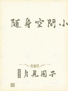 随身空间小说