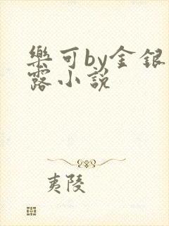 乐可by金银花露小说