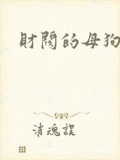 财阀的母狗们