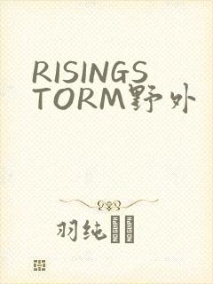 RISINGSTORM野外