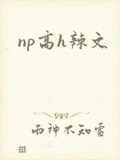 np高h辣文