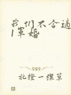 我们不合适1v1军婚