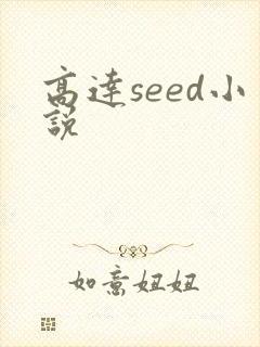 高达seed小说