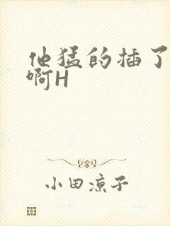 他猛的插了进去啊H