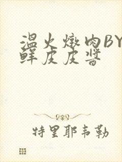 温火炖肉BY海鲜皮皮酱