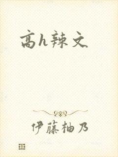 高h辣文