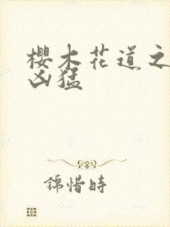 樱木花道之重生凶猛