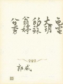 公翁的大龟挺进秀婷苏玥电影