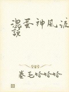 混蛋神风流史小说