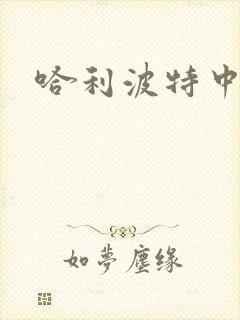 哈利波特中文版