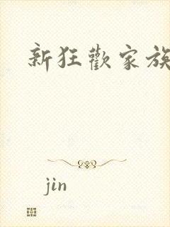 新狂欢家族小说