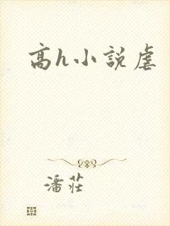 高h小说虐