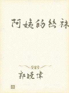 阿姨的丝袜小说