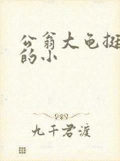 公翁大龟挺进我的小