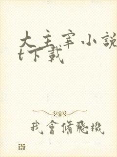 大主宰小说txt下载