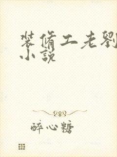 装修工老刘林雪小说