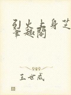 引火上身芝麻糖笔趣阁