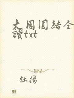 大团圆结全文阅读txt