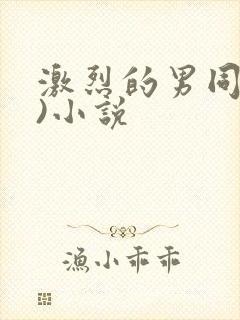 激烈的男同(h)小说