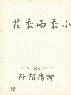 花季雨季小说