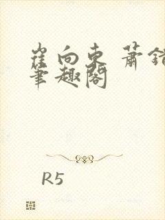 崔向东 萧错 笔趣阁