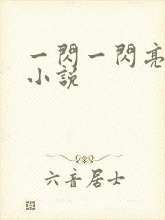 一闪一闪亮星星小说