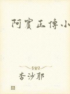 阿宾正传小说