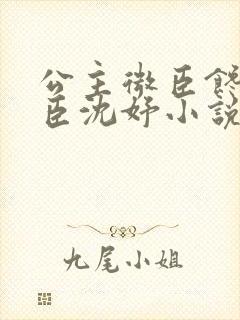 公主微臣馋了微臣沈妤小说