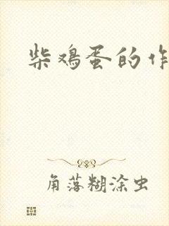 柴鸡蛋的作品