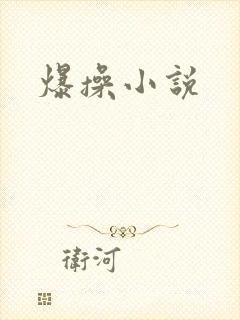 爆操小说