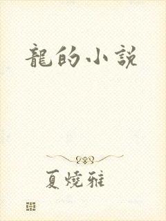 龙的小说