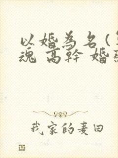 以婚为名 (军魂 高干 婚恋)