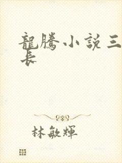 龙腾小说三宝局长