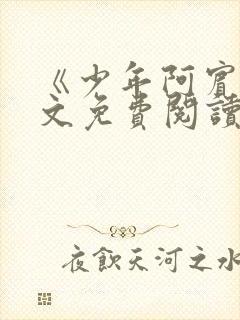 《少年阿宾》全文免费阅读