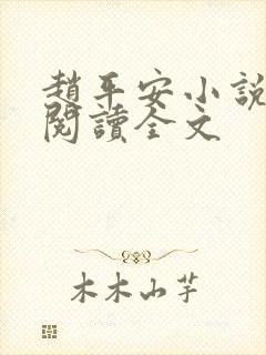 赵平安小说免费阅读全文