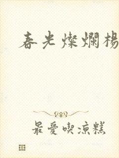 春光灿烂杨家将