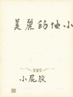 美丽的他小说