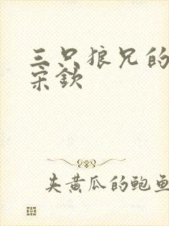 三只狼兄的宠妻宋钦