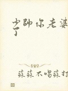 少帅你老婆又跑了