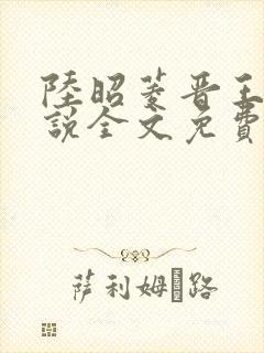 陆昭菱晋王的小说全文免费阅读