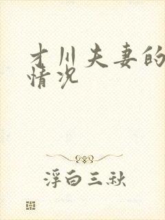 才川夫妻的恋爱情况