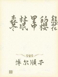 森林里的熊先生冬眠中樱花动漫